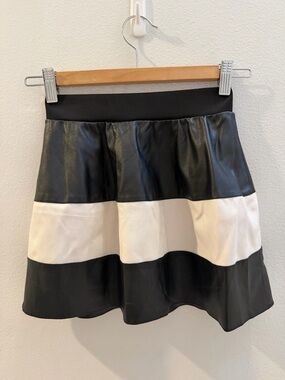 Black and White Striped A-Line Skirt